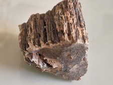 Morceau bois fossilisé d'occasion  Remoulins