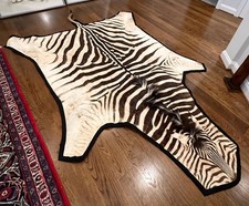 Authentic zebra hide for sale  Rockville