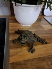 Neuwertig frosch kröte gebraucht kaufen  Wedemark