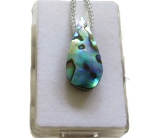 Paua muschel abalone gebraucht kaufen  Ering