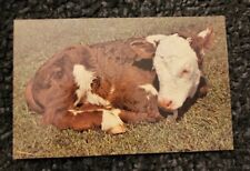 Vtg postcard dexter for sale  Joplin