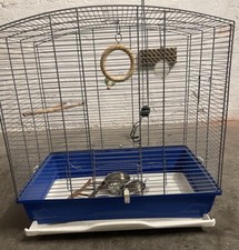 Vogelkäfig groß ideal gebraucht kaufen  Wuppertal