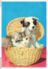ASHP5-0309-CHAT - Gatito Y Cachorro En Una Canasta comprar usado  Enviando para Brazil