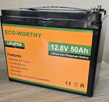 Lifepo4 akku 12v gebraucht kaufen  Selb