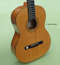 Konzert gitarre pro gebraucht kaufen  Stade