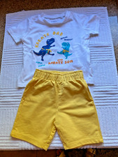 Waikiki dinosaurs karate for sale  TAMWORTH