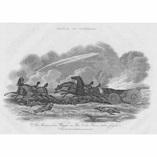 Battle waterloo horse for sale  GLASGOW