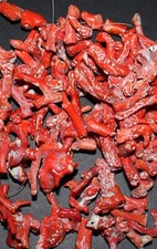 Usado, Cabochões de coral soltos com contas de guirlanda de coral puro natural 584,70 cts comprar usado  Enviando para Brazil