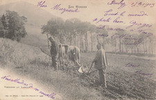 Vosgiens labour attelage d'occasion Vosgiens labour attelage d'occasion  Vasles