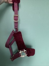 Arma pony head for sale  CHELTENHAM