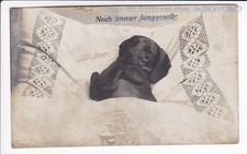 Fotokarte dackel teckel gebraucht kaufen  Duisburg