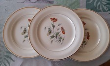 Ensemble assiettes céranord d'occasion  Maintenon