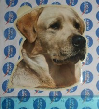 Adesivo sticker vintage usato  Italia