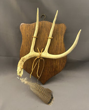 Vtg point deer for sale  Shreveport
