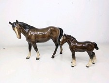 Beswick bay mare for sale  BALERNO
