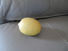 Ancien fruit citron d'occasion  Ussac