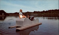 Pedal boats sesquicentennial for sale  Sandusky