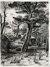 Arbre paysage foret d'occasion  Pluvigner
