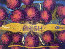 Phish birmingham august for sale  Oakland