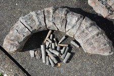 Rar konvolut fossilien gebraucht kaufen  Völklingen