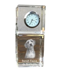 Basset fauve bretagne d'occasion  Expédié en France