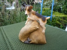 rat terrier for sale rat terrier for sale ST. NEOTS