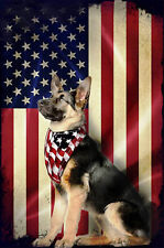 German shepherd gsd for sale  Tiffin