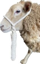 Sheep halter rope for sale  USK