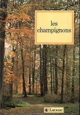 505 claude moreau d'occasion  Saujon