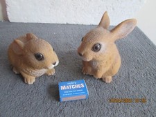 rabbits for sale rabbits for sale POOLE