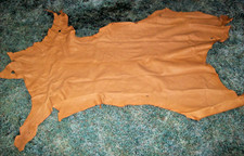 Whitetail deer tanned for sale  Hamburg
