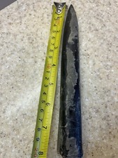 Belemnite amazing inch for sale  SPALDING