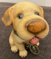 Yellow labrador retriever for sale  Godley