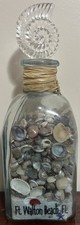 sand souvenir seashell for sale sand souvenir seashell for sale Albany