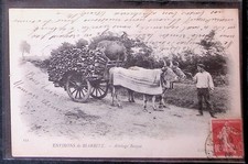 attelage boeufs d'occasion attelage boeufs d'occasion Lyon II