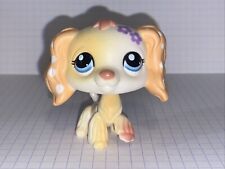 Petshop chien épagneul d'occasion Petshop chien épagneul d'occasion  Toulon-