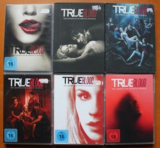 Dvds true blood gebraucht kaufen  Wehrheim