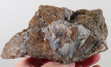 Eden valley petrified for sale  Polson