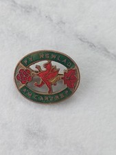 Vintage enamel welsh for sale  CHIPPENHAM
