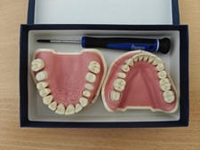 Modellino dentale frasaco usato  Asti