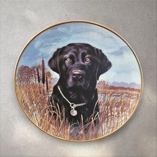 Danbury mint labrador for sale  LONDON