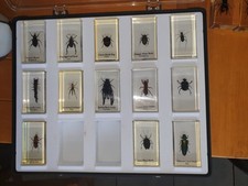 National geographic real for sale  AXMINSTER