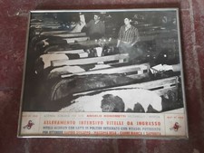Pubblicitaria agr. angelo usato  Savignano sul Panaro