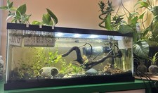 20gal long fully for sale  New Britain