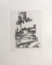 Fiorella diamantini acquaforte usato Fiorella diamantini acquaforte usato  Sesto San Giovanni