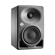 Neumann dsp diffusore usato  Pozzuoli