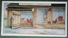 Bantam chicken house for sale  DERBY