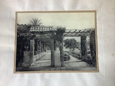 Photographie ancienne perspect d'occasion  Paris XVII