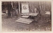 Native american rppc for sale  Lake Ann