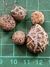 Gobi lace agate for sale  ABERAERON